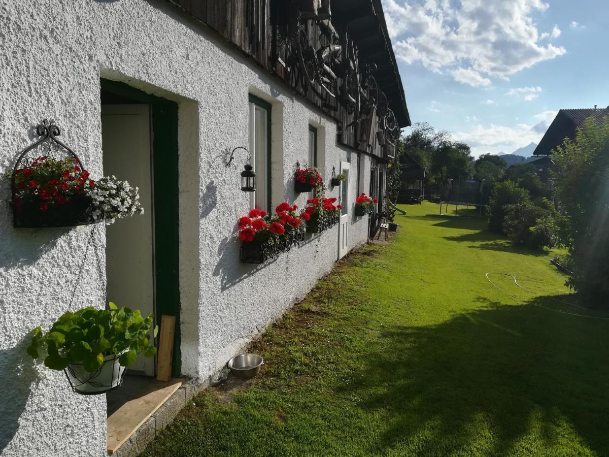 Bed and Breakfast Haus Elisabeth Aigen im Ennstal Exterior foto