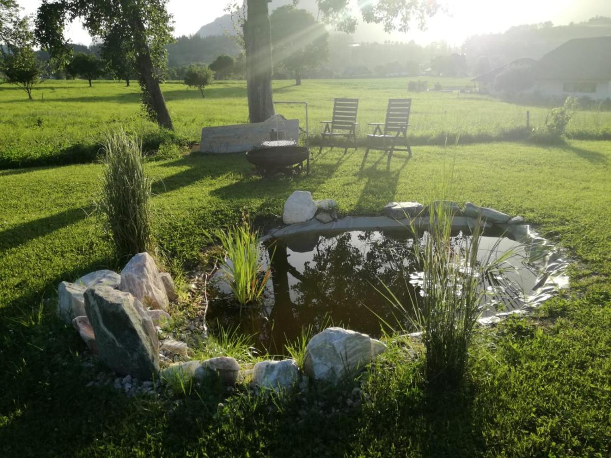 Bed and Breakfast Haus Elisabeth Aigen im Ennstal Exterior foto